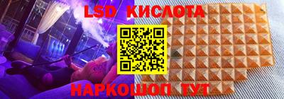 Альфа ПВП Можга