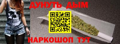 Альфа ПВП Можга