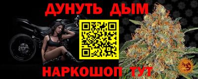 Альфа ПВП Можга