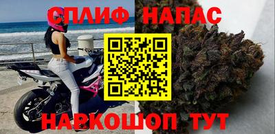 твердый Моздок