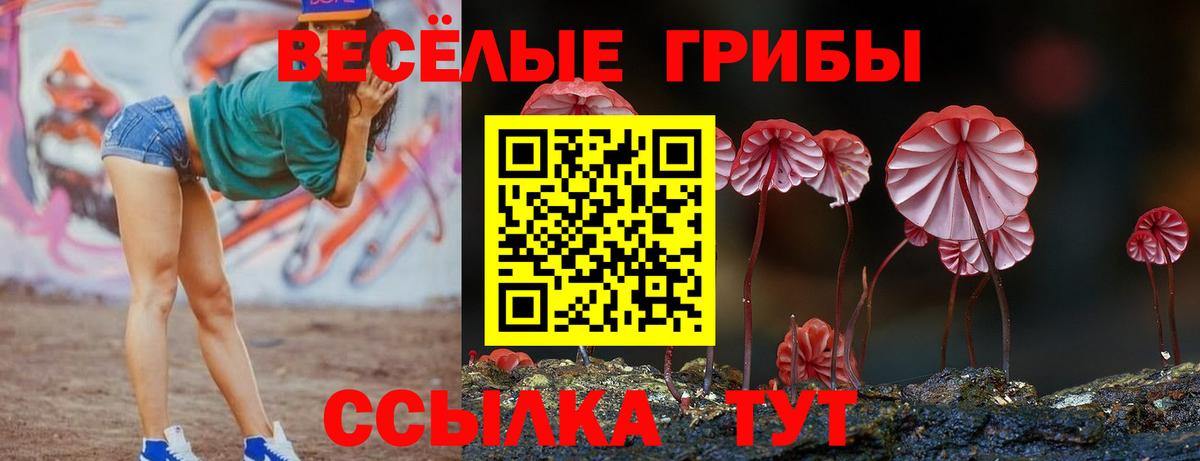 Псилоцибиновые грибы Cubensis  Вход с VPN  Ростов-на-Дону 